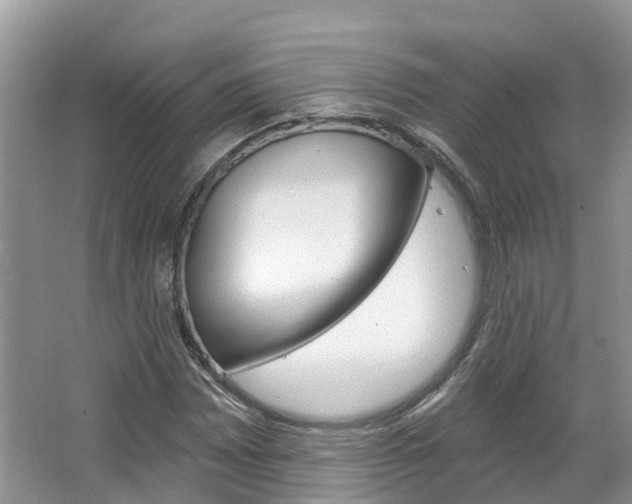 X0000067471065200604070947