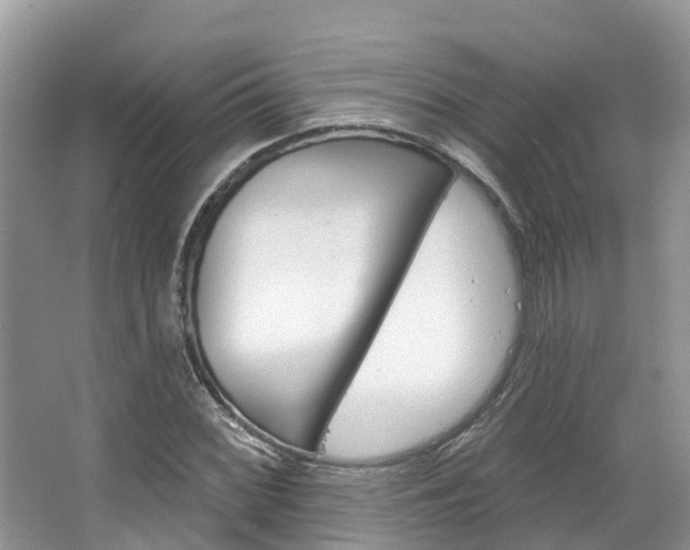 X0000067471068200604070947