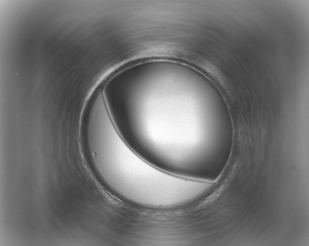 X0000067471077200604070946
