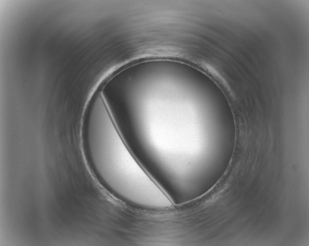X0000067471085200604070946