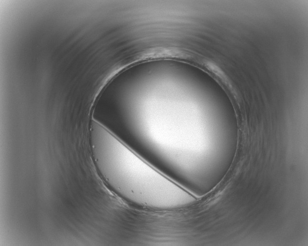 X0000067471089200604070946