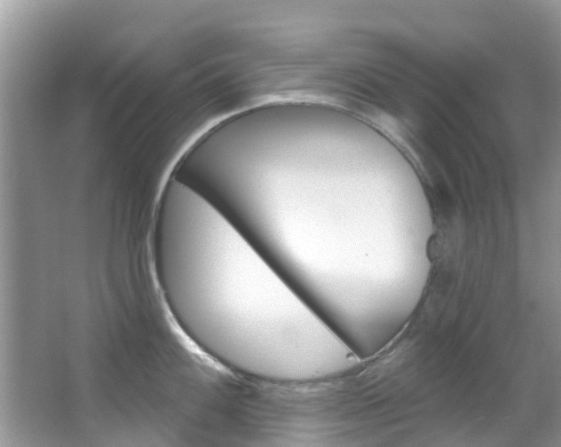 X0000067471100200604070946