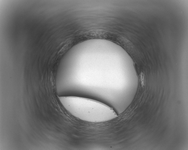 X0000067471107200604070945