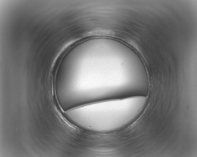 X0000067471123200604070945