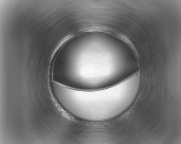 X0000067471138200604070946