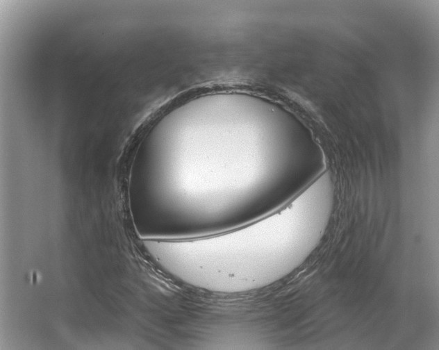 X0000067471160200604070945