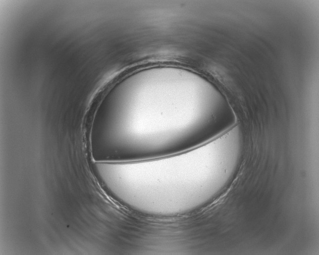 X0000067471164200604070945