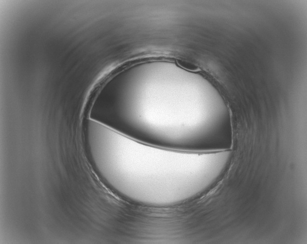 X0000067471172200604070945