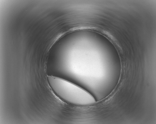 X0000067471185200604070945