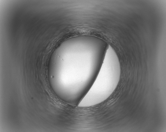 X0000067471249200604070943