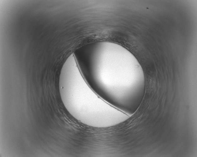 X0000067471250200604070943