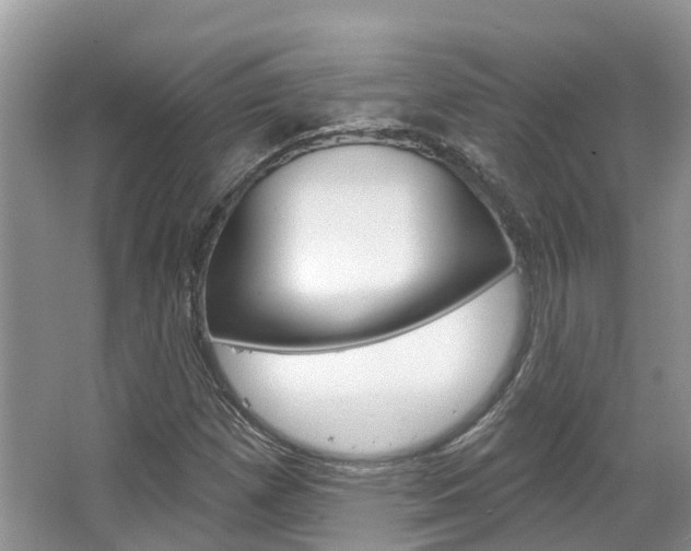 X0000067471257200604070943