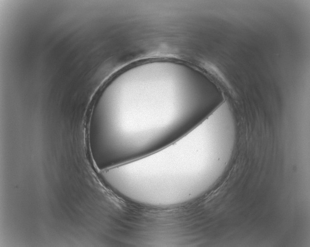 X0000067471268200604070943