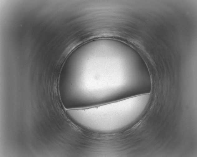 X0000067471273200604070943