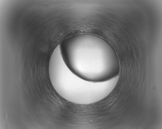 X0000067471298200604070942