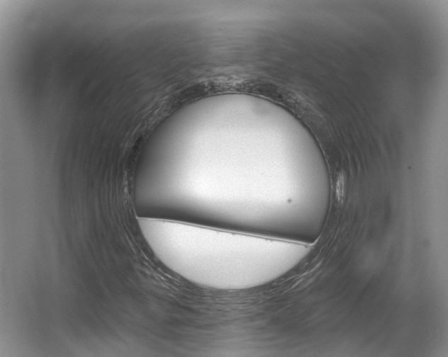 X0000067471299200604070942