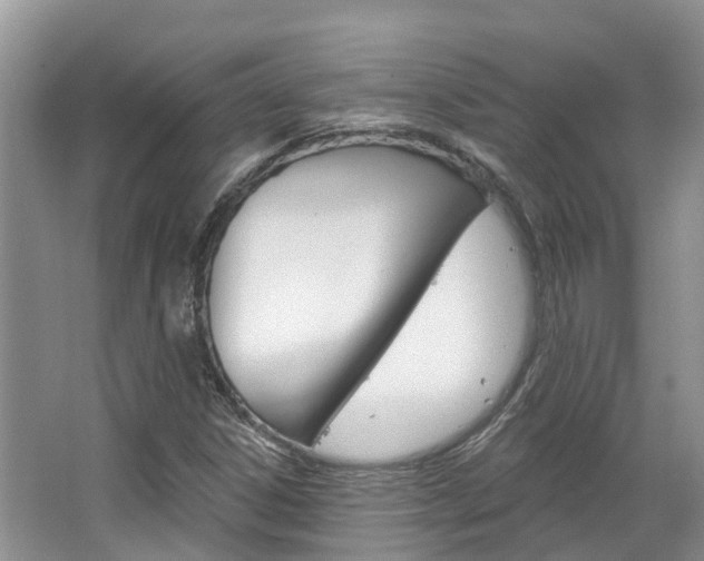 X0000067471306200604070942
