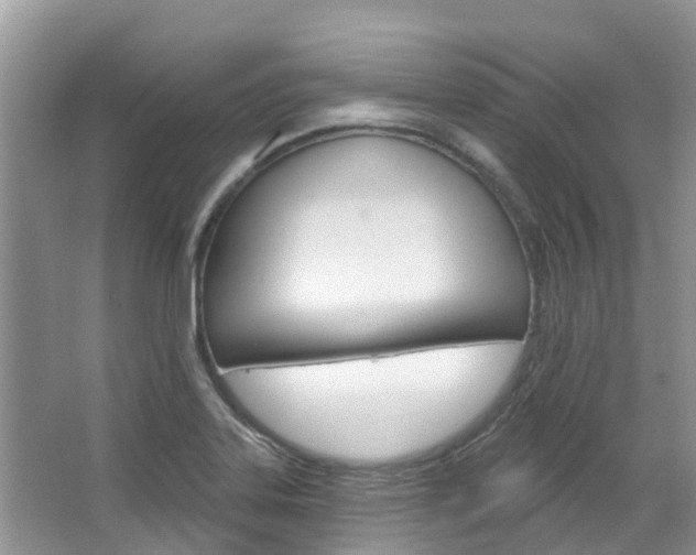 X0000067471323200604070942