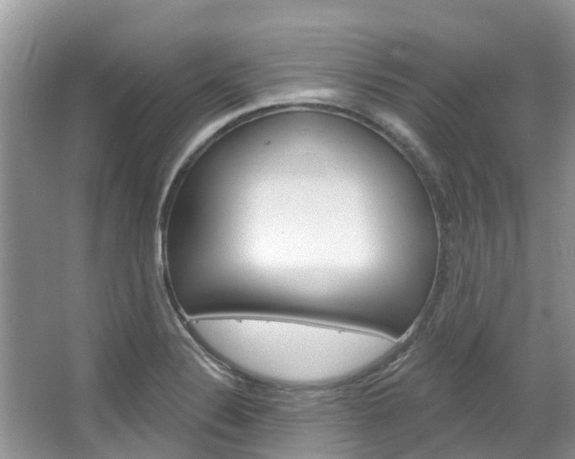 X0000067471324200604070942