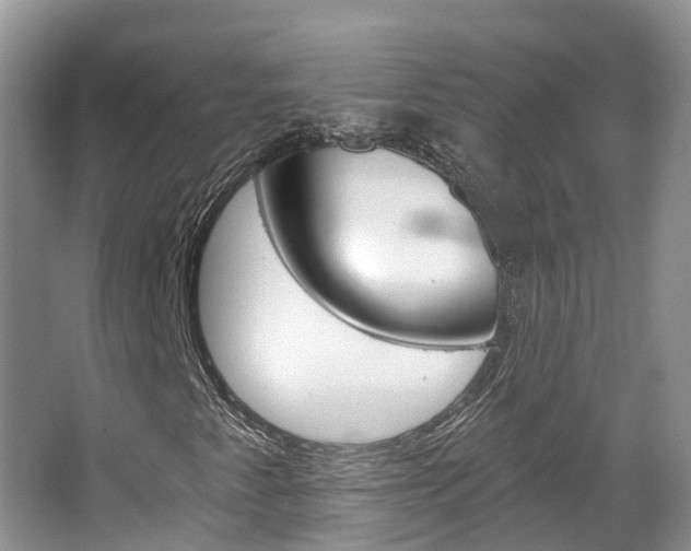 X0000067471345200604070942