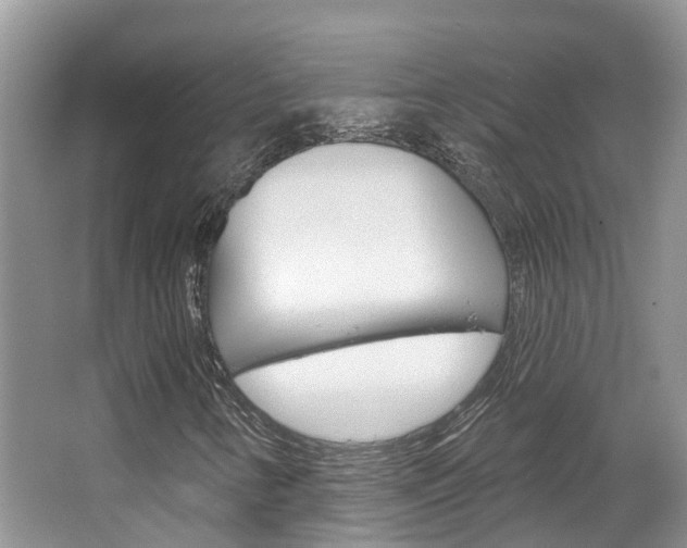 X0000067471346200604070942