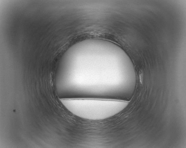 X0000067471347200604070942