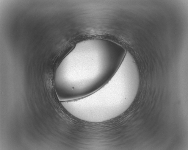 X0000067471348200604070942
