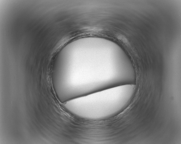 X0000067471354200604070942