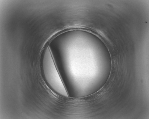 X0000067471356200604070942