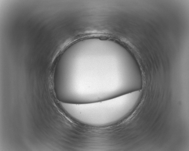 X0000067471357200604070942