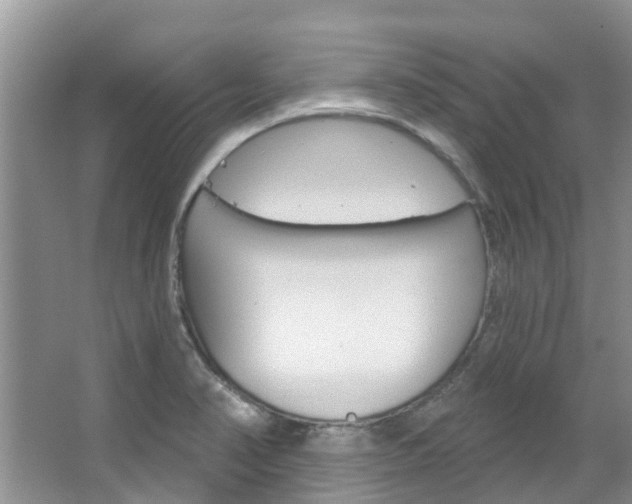 X0000067471374200604070941