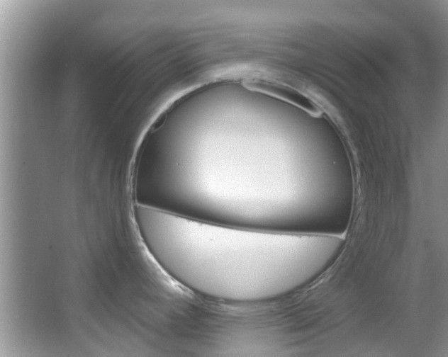 X0000067471392200604070941