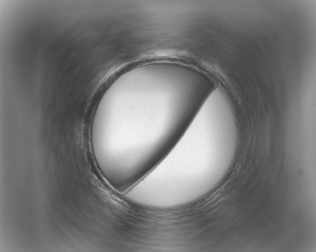 X0000067471404200604070940