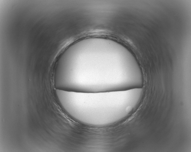X0000067471405200604070940