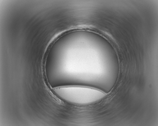 X0000067471412200604070941