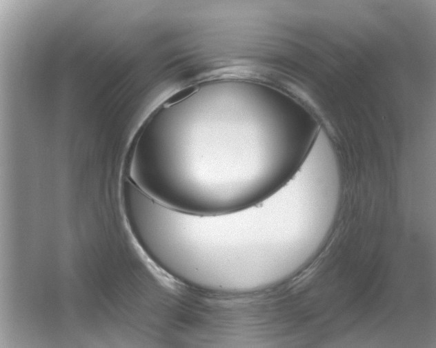 X0000067471426200604070941