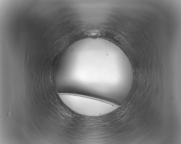 X0000067471442200604070940