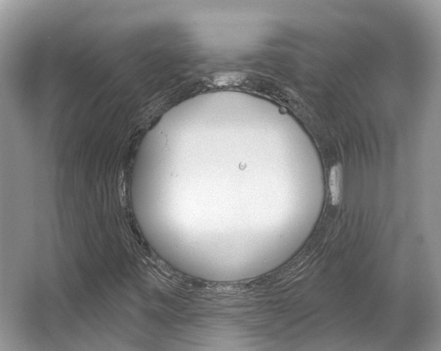 X0000067471443200604070940