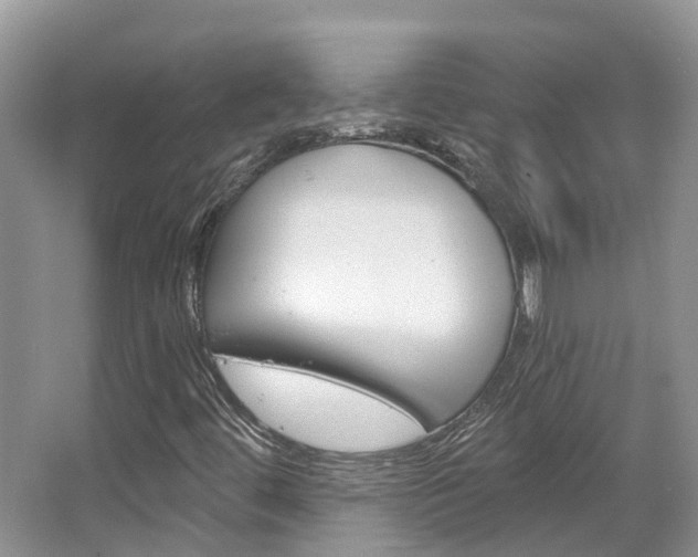 X0000067471444200604070940