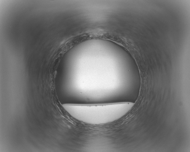 X0000067471445200604070940
