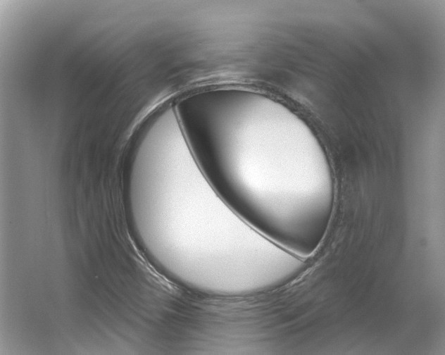 X0000067471450200604070940