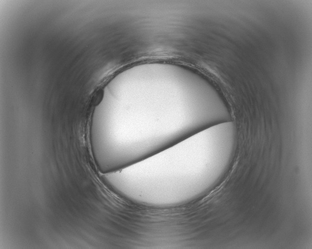 X0000067471451200604070940