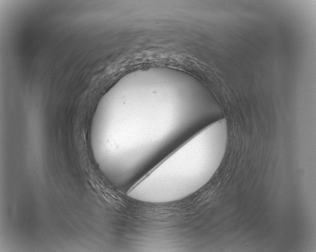 X0000067471489200604070939