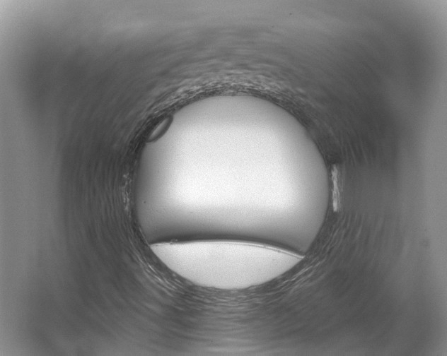 X0000067471491200604070939