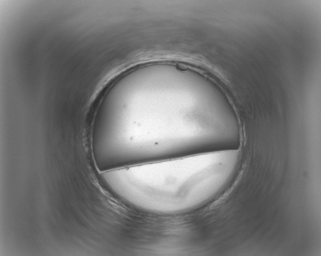 X0000067471501200604070939