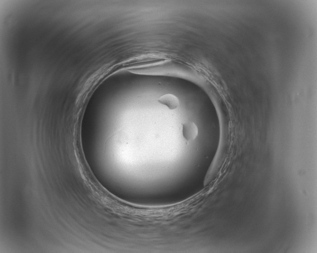 X0000067470001200604071206