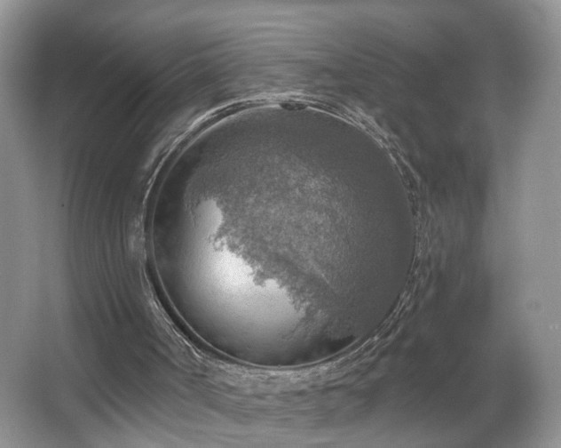 X0000067470002200604071206