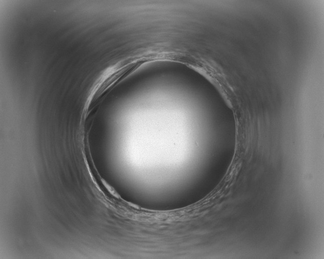 X0000067470003200604071206