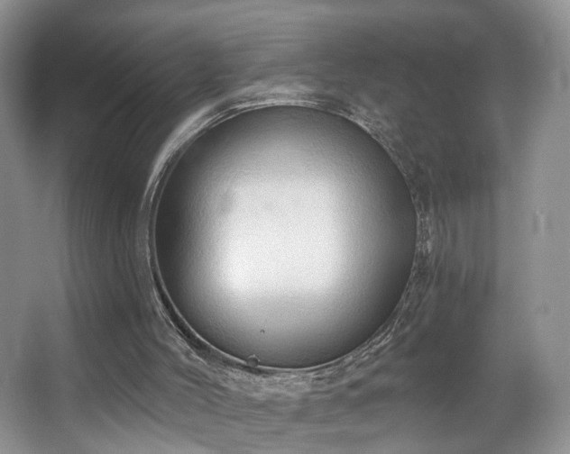 X0000067470004200604071206