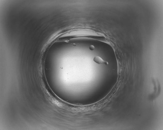 X0000067470005200604071206